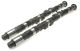 Brian Crower Honda B18A/B18B/B20B Stage 2 Boost Camshafts