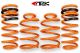 ARK Performance Honda S2000 (01-09) GT-F Lowering Springs