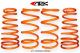 ARK Performance Hyundai Tiburon (03+) GT-F Lowering Springs