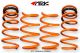 ARK Performance Hyundai Veloster (11+) GT-F Lowering Springs