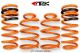 ARK Performance Kia Forte Coupe/Hatchback (10-13) GT-F Lowering Springs