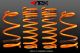 ARK Performance Mitsubishi Evolution X (08-11) GT-F Lowering Springs