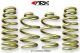 ARK Performance Hyundai Genesis Coupe (10+) GT-S Lowering Springs