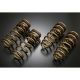 TEIN Nissan Leaf (AZE0)(12-17) / (ZE0)(10-12) / (ZE1)(2017+) High.Tech Lowering Springs