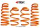 ARK Performance Hyundai Genesis Coupe (10+) GT-F Lowering Springs