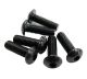 NRG Innovations Steering Wheel Screw Kit - Black (Conical)