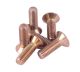 NRG Innovations Steering Wheel Screw Kit - Rose Gold (Conical)