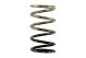 Turbosmart GenV IWG 3 PSI Spring